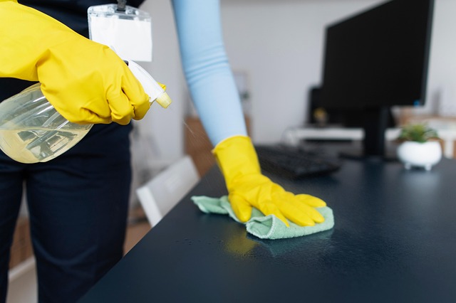cleaning-8660309_640 (1) img-12